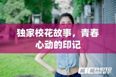 独家校花故事,青春心动的印记