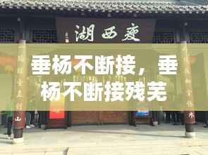 垂杨不断接,垂杨不断接残芜雁齿虹桥俨画图出自哪首诗歌