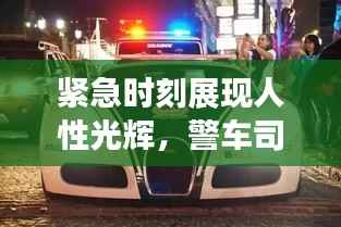 紧急时刻展现人性光辉,警车司机突发脑溢血救治瞬间
