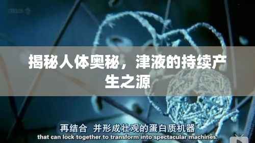 揭秘人体奥秘,津液的持续产生之源