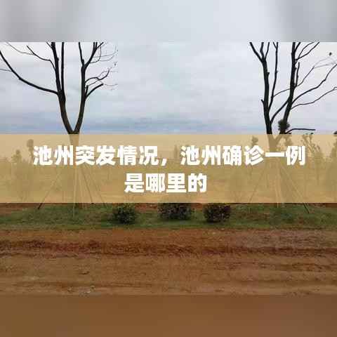 池州突发情况,池州确诊一例是哪里的