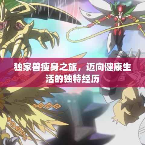 独家兽瘦身之旅,迈向健康生活的独特经历