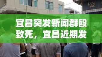 宜昌突发新闻群殴致死,宜昌近期发生的案件