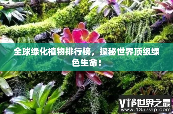 全球绿化植物排行榜,探秘世界顶级绿色生命!