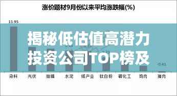 揭秘低估值高潜力投资公司TOP榜及制胜投资策略