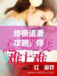 终极追妻攻略,俘获芳心的秘诀与指南