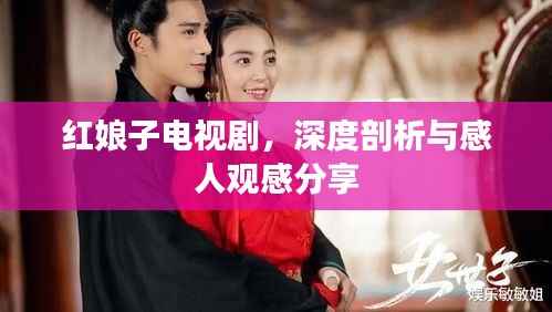 红娘子电视剧,深度剖析与感人观感分享