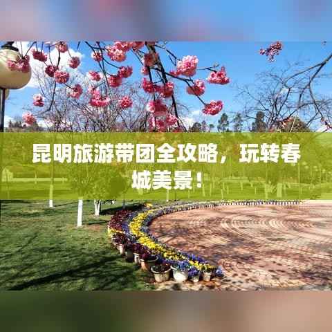 昆明旅游带团全攻略,玩转春城美景!