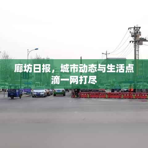 廊坊日报,城市动态与生活点滴一网打尽