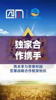 独家合作携手共创卓越未来