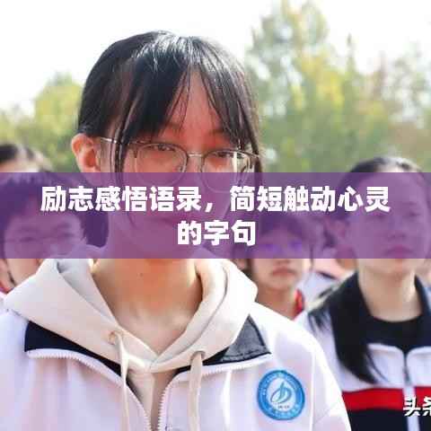 励志感悟语录,简短触动心灵的字句