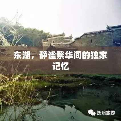 东湖,静谧繁华间的独家记忆