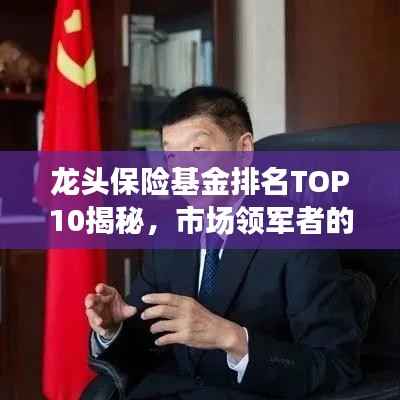 龙头保险基金排名TOP10揭秘,市场领军者的实力解读