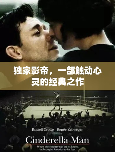 独家影帝,一部触动心灵的经典之作