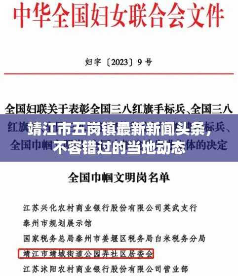 靖江市五岗镇最新新闻头条,不容错过的当地动态