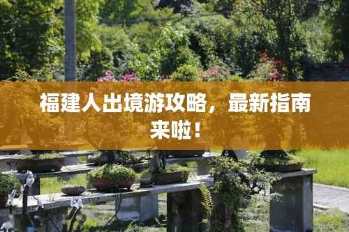 福建人出境游攻略,最新指南来啦!