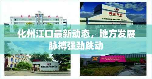 化州江口最新动态,地方发展脉搏强劲跳动