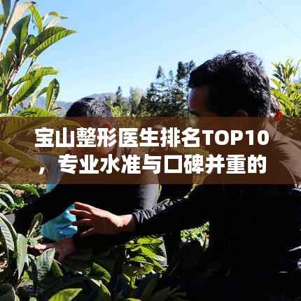 宝山整形医生排名TOP10,专业水准与口碑并重的行业翘楚