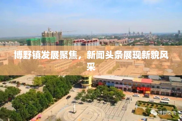 博野镇发展聚焦,新闻头条展现新貌风采