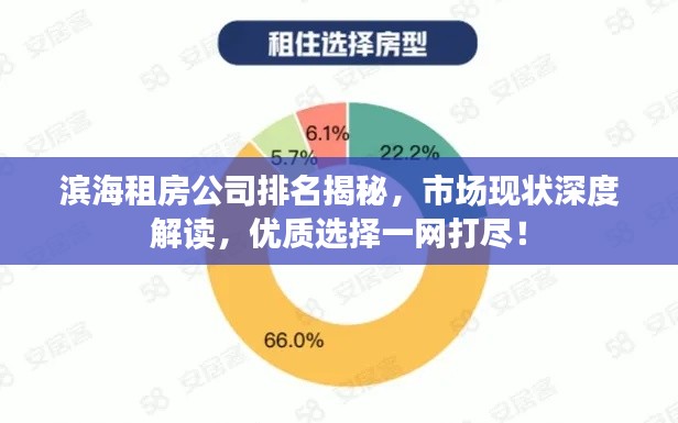 滨海租房公司排名揭秘,市场现状深度解读,优质选择一网打尽!