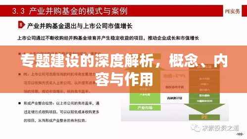 专题建设的深度解析,概念、内容与作用