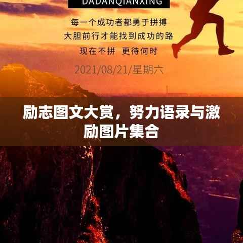 励志图文大赏,努力语录与激励图片集合
