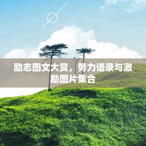 励志图文大赏,努力语录与激励图片集合