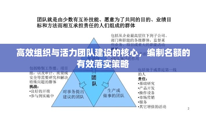 高效组织与活力团队建设的核心,编制名额的有效落实策略