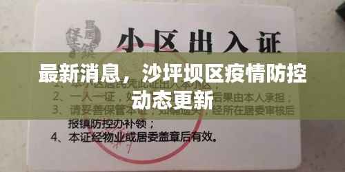 最新消息,沙坪坝区疫情防控动态更新