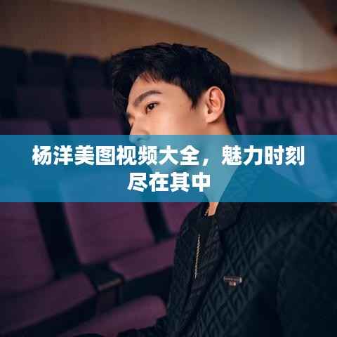 杨洋美图视频大全,魅力时刻尽在其中
