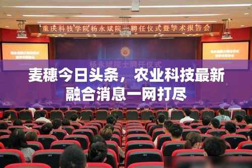 麦穗今日头条,农业科技最新融合消息一网打尽