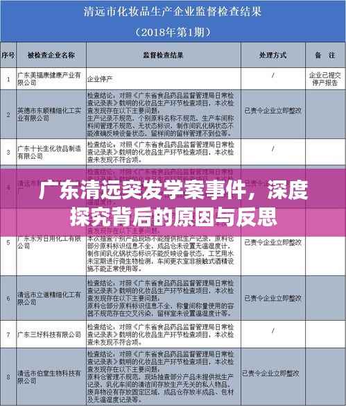 广东清远突发学案事件,深度探究背后的原因与反思