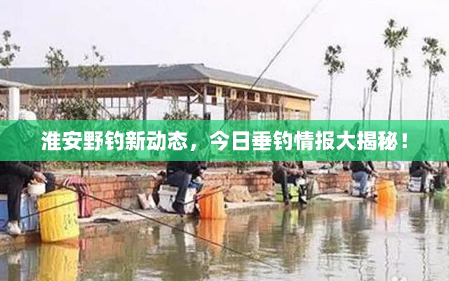 淮安野钓新动态,今日垂钓情报大揭秘!