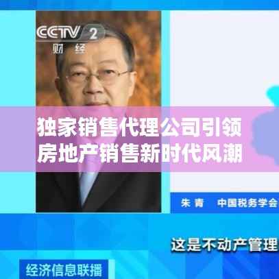 独家销售代理公司引领房地产销售新时代风潮!