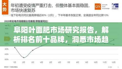 阜阳叶面肥市场研究报告,解析排名前十品牌,洞悉市场趋势