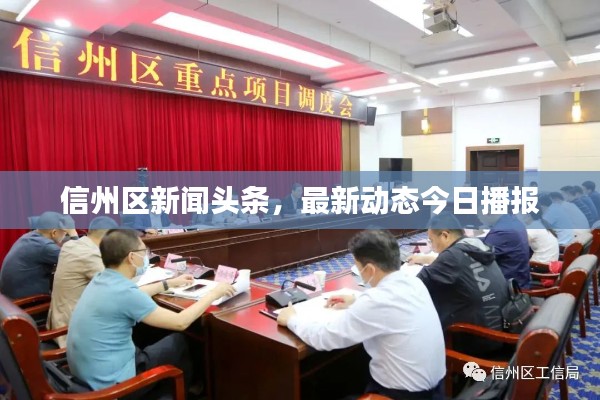 信州区新闻头条,最新动态今日播报