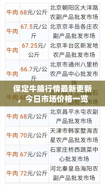 保定牛腩行情最新更新,今日市场价格一览