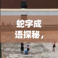 蛇字成语探秘,百度文化宝库带你领略成语魅力