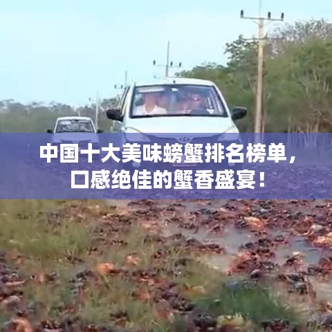 中国十大美味螃蟹排名榜单,口感绝佳的蟹香盛宴!
