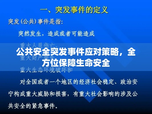 公共安全突发事件应对策略,全方位保障生命安全