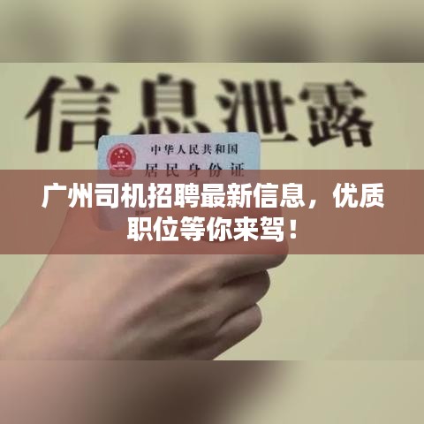 广州司机招聘最新信息,优质职位等你来驾!