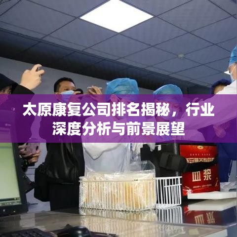 太原康复公司排名揭秘,行业深度分析与前景展望