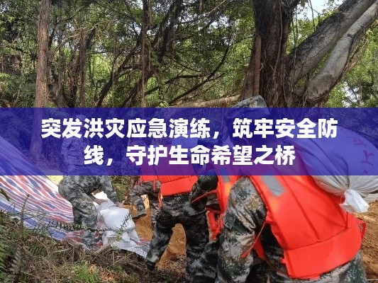 突发洪灾应急演练,筑牢安全防线,守护生命希望之桥