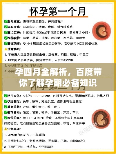 孕四月全解析,百度带你了解孕期必备知识