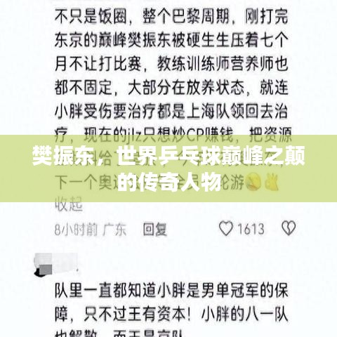 樊振东，世界乒乓球巅峰之颠的传奇人物