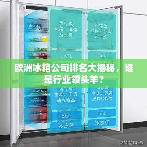欧洲冰箱公司排名大揭秘,谁是行业领头羊?
