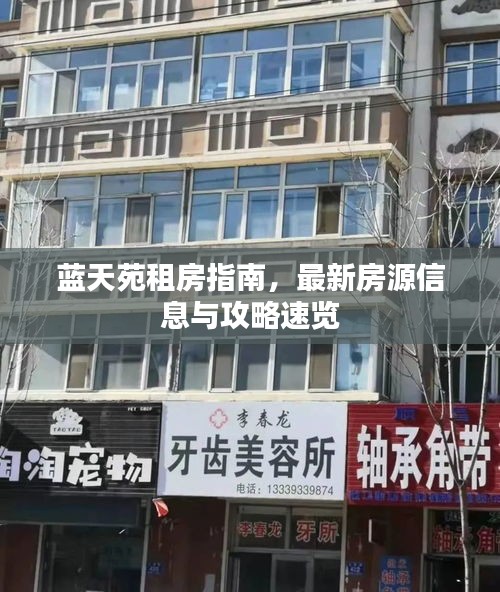 蓝天苑租房指南,最新房源信息与攻略速览