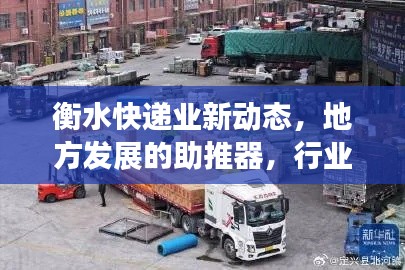 衡水快递业新动态，地方发展的助推器，行业资讯一网打尽