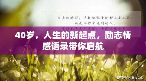 40岁,人生的新起点,励志情感语录带你启航
