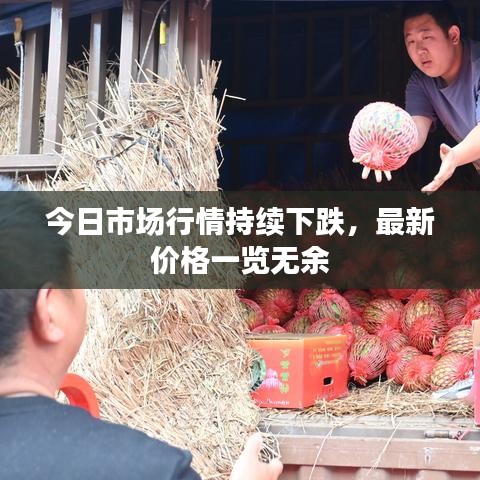 今日市场行情持续下跌,最新价格一览无余